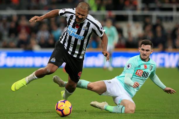 入或将为红 入或将为红