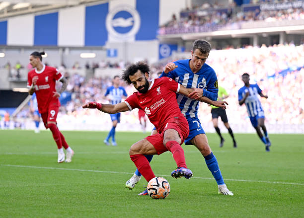 它兼具艺术 它兼具艺术